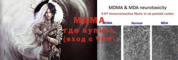 стаф Волосово