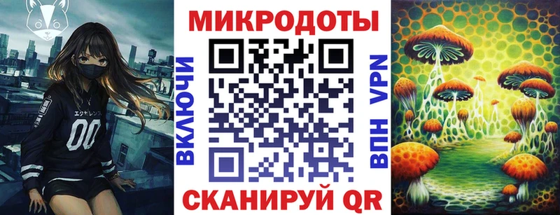 закладка  Братск  Псилоцибиновые грибы MAGIC MUSHROOMS 
